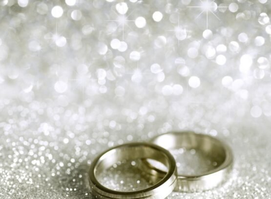 winter-wedding-ideas-themes-and-decorations-bridal-dresses