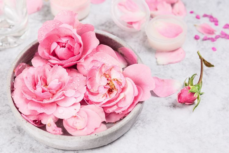 How to use rose water for hair care
