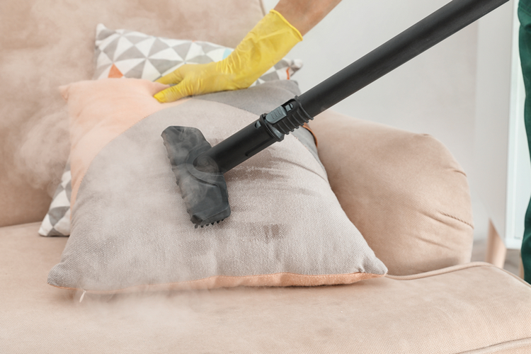 use steam cleaner to clean and disinfect your home