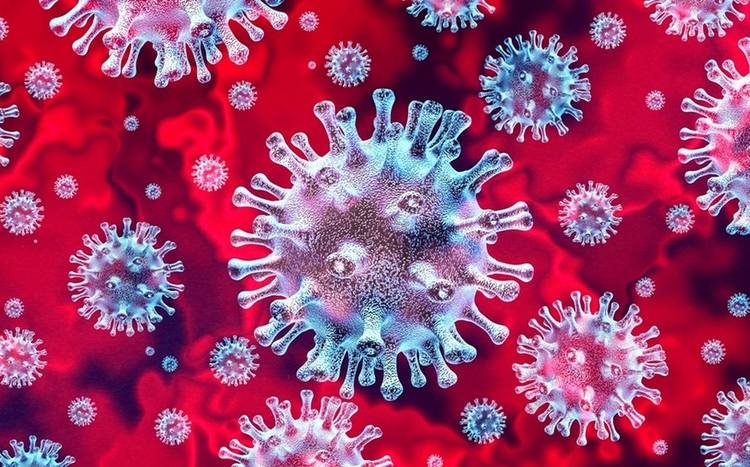Coronavirus is not the deadliest virus known to man