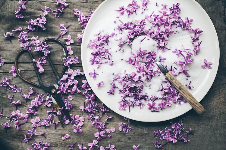Lilac sugar body scrub recipe