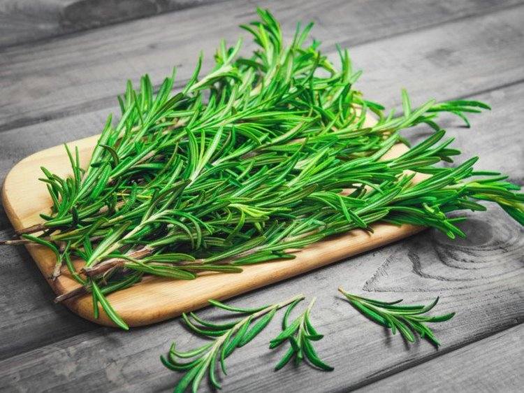 Rosemary is widely used in herbal soap making