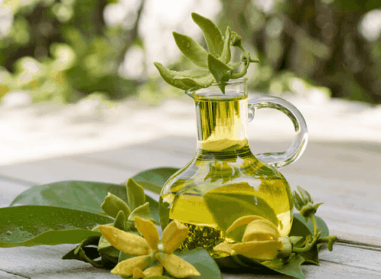 Ylang-ylang-essential-oil-benefits-for-health-and-well-being