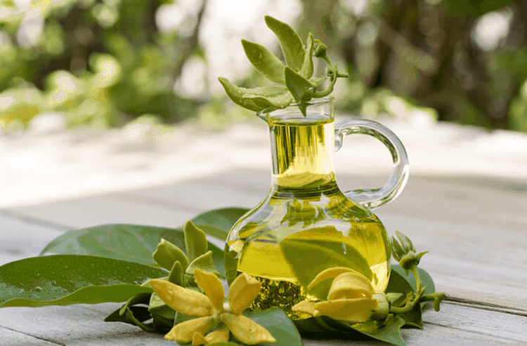 Ylang ylang essential oil benefits for health and well being