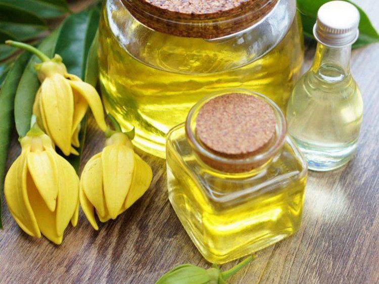 Ylang ylang essential oil properties and benefits for beauty and health