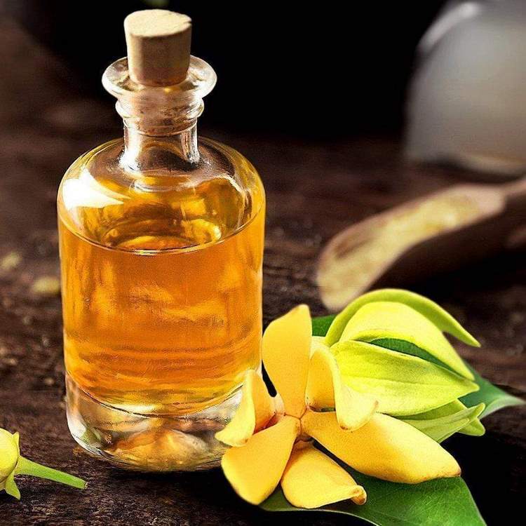 ylang ylang properties and benefits for skin and hair 