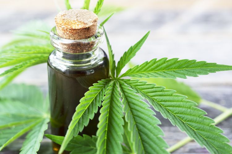 CBD the miracle cure basic things to know about it