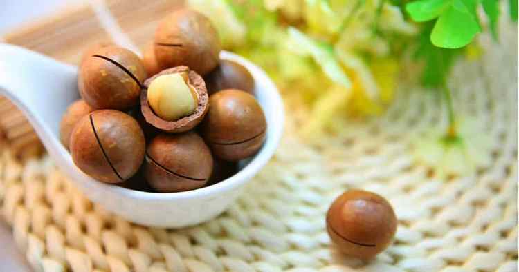 properties and benefits of macadamia oil for hair and skin 