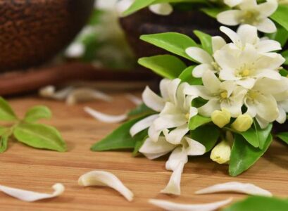 what-are-the-benefits-of-jasmine-essential-oil-mask-recipes-aromatherapy