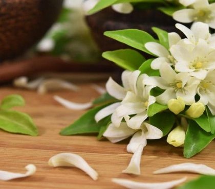 what-are-the-benefits-of-jasmine-essential-oil-mask-recipes-aromatherapy