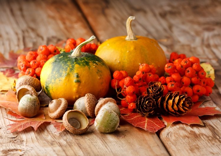 Fall decorating ideas how to use natural materials fruits and vegetables