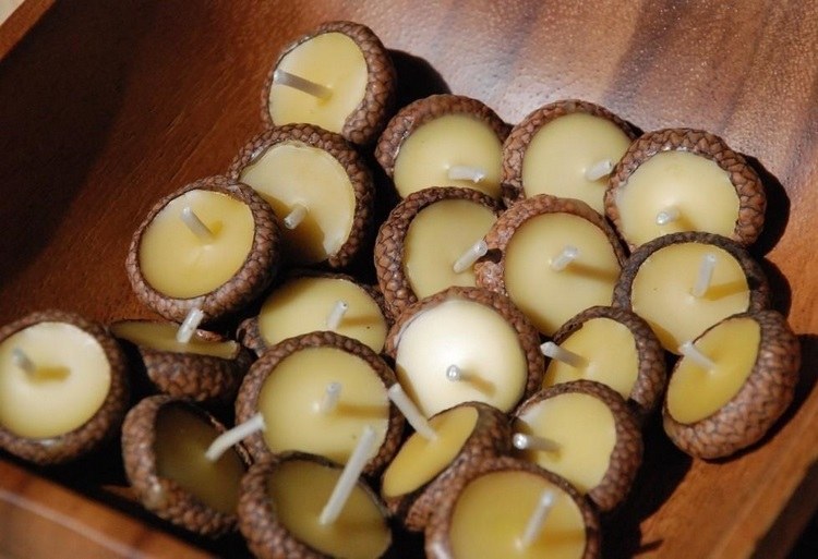 acorn craft ideas DIY mini candles