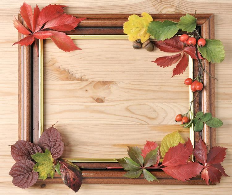 easy budget friendy fall decor ideas photo frames