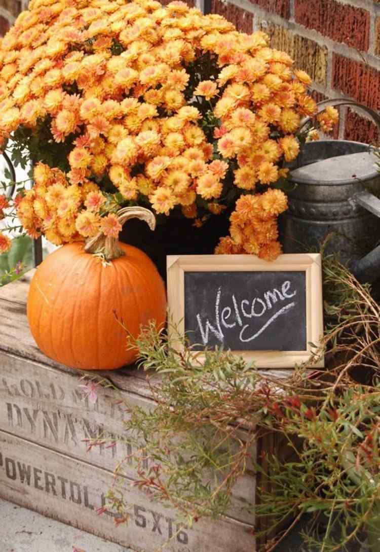 Easy DIY fall decor ideas flowers and pumpkin