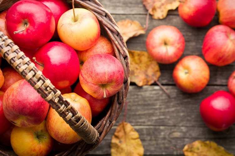 autumn apples in basket seasonal fruits