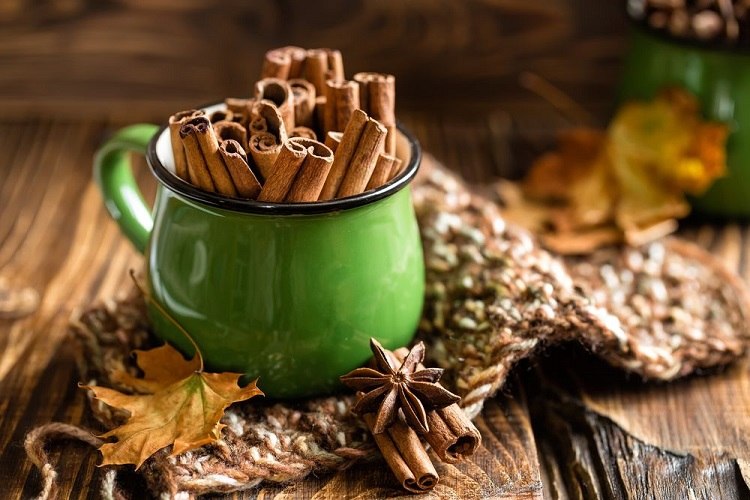 cinnamon sticks in green mug and fall leaves