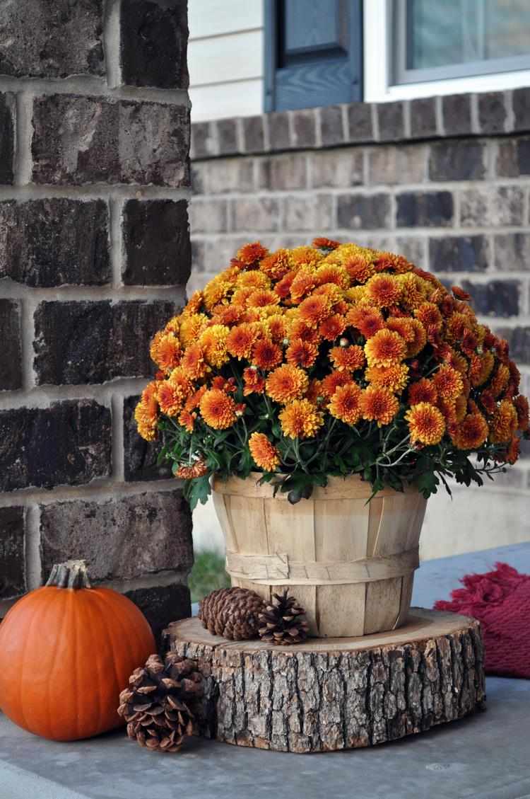 last minute front porch decoration for fall holidays 
