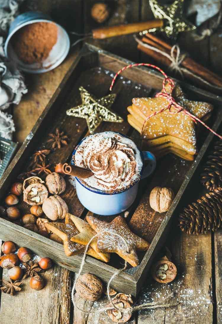 mug of hot chocolate and gingerbread cookies nuts