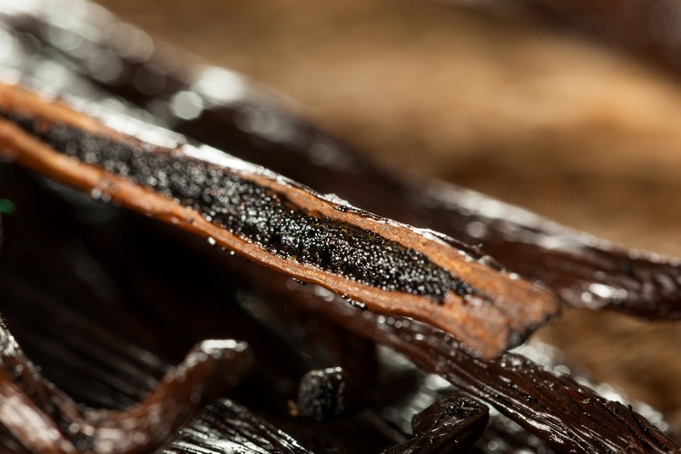 vanilla beans aromas and scents that create warm and cozy atmosphere