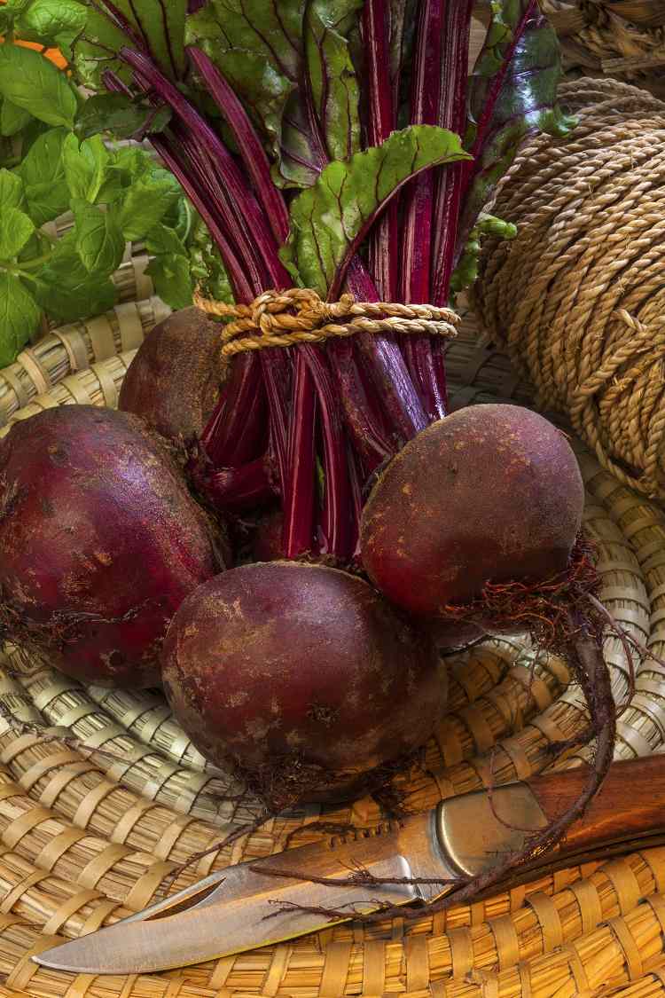 Beets contain many vitamins and minerals
