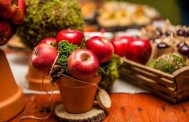 DIY-thanksgiving-table-decoration-apples-and-moss-in-flower-pot