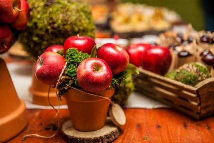 DIY thanksgiving table decoration apples and moss in flower pot