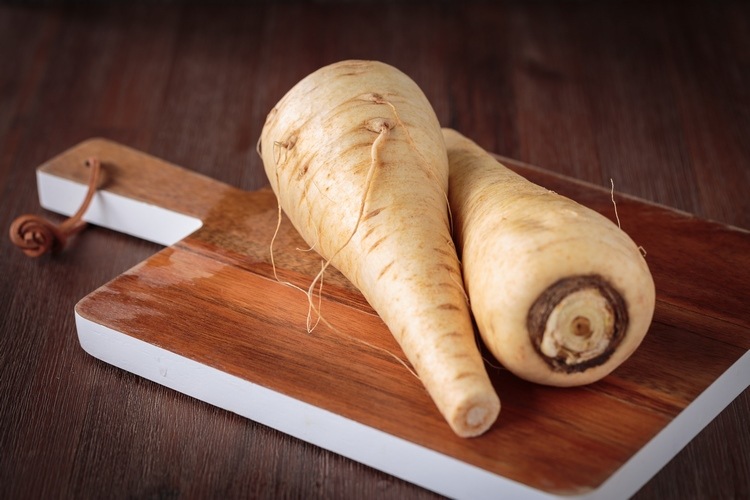 Parsnip root is rich in carbohydrates and fiber