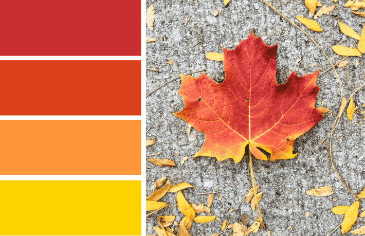 fall color palette DIY home decor ideas