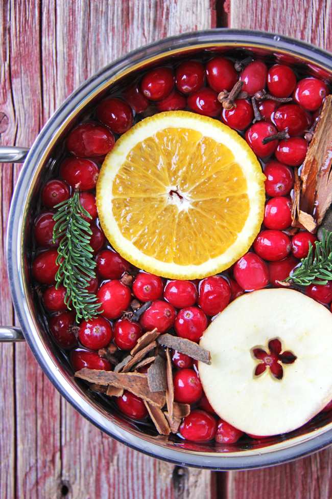 Cranberry and Apples Christmas Stovetop Potpourri recipe
