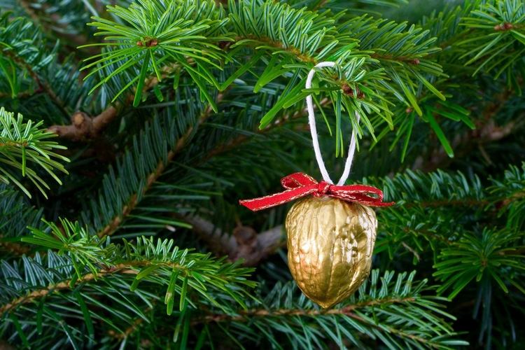 DIY Christmas walnut decorations unbreakable tree ornaments ideas