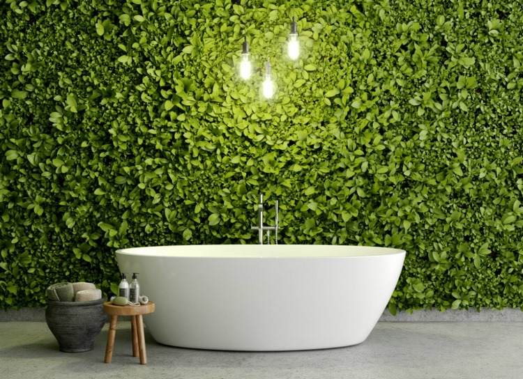Living wall vertical gardens in bathrooms advantages disadvantages