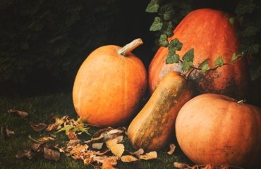 What-are-the-health-benefits-of-pumpkin