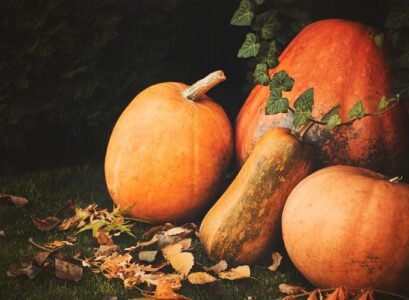 What-are-the-health-benefits-of-pumpkin