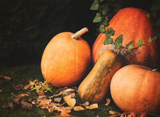 What-are-the-health-benefits-of-pumpkin