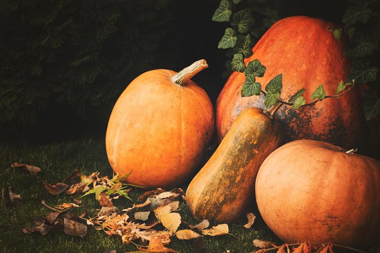 What are the health benefits of pumpkin