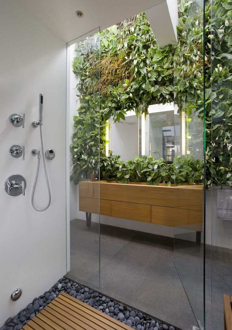 how to choose plants for bathroom