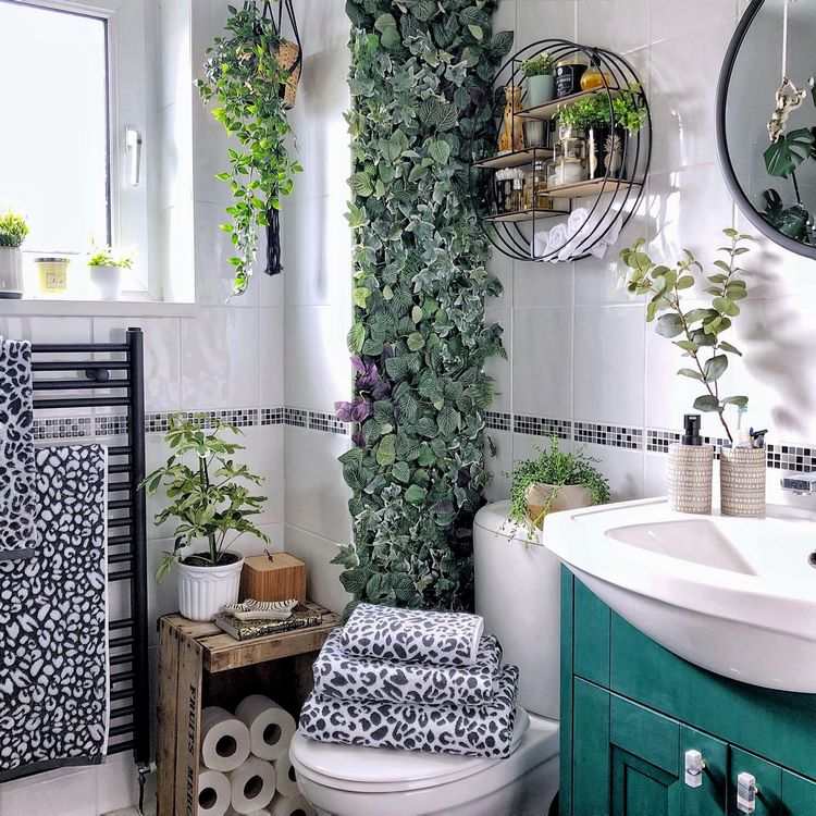 what are the best plants for bathroom decoration
