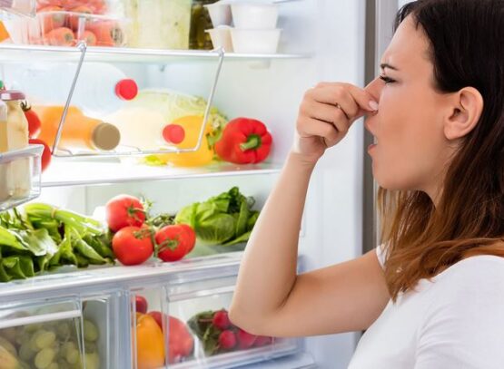 How-to-get-rid-of-bad-smell-in-the-refrigerator-natural-odor-absorbers