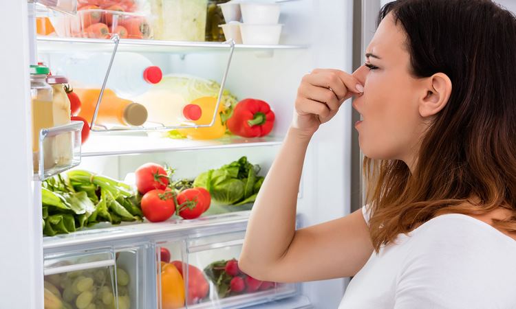 How to get rid of bad smell in the refrigerator