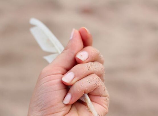 Trendy-Milky-Nails-Ideas-Fresh-Manicure-Designs-for-Every-Season