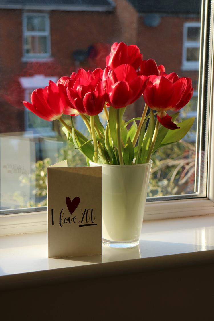 Valentines day flowers ideas red tulips and card