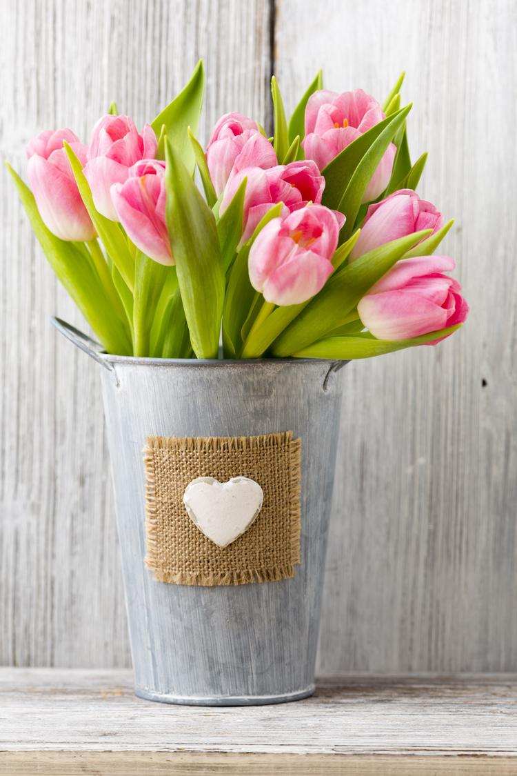 tulips for valentines day how to choose the best flowers