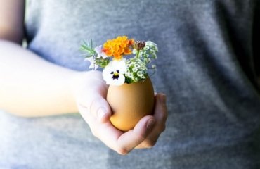 DIY-Easter-Eggshell-Planters-and-Vases-Ideas-Festive-Home-Decorating-Ideas