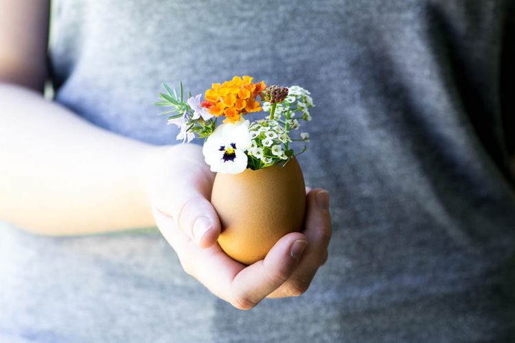 DIY Easter Eggshell Planters and Vases Festive Home Decorating Ideas