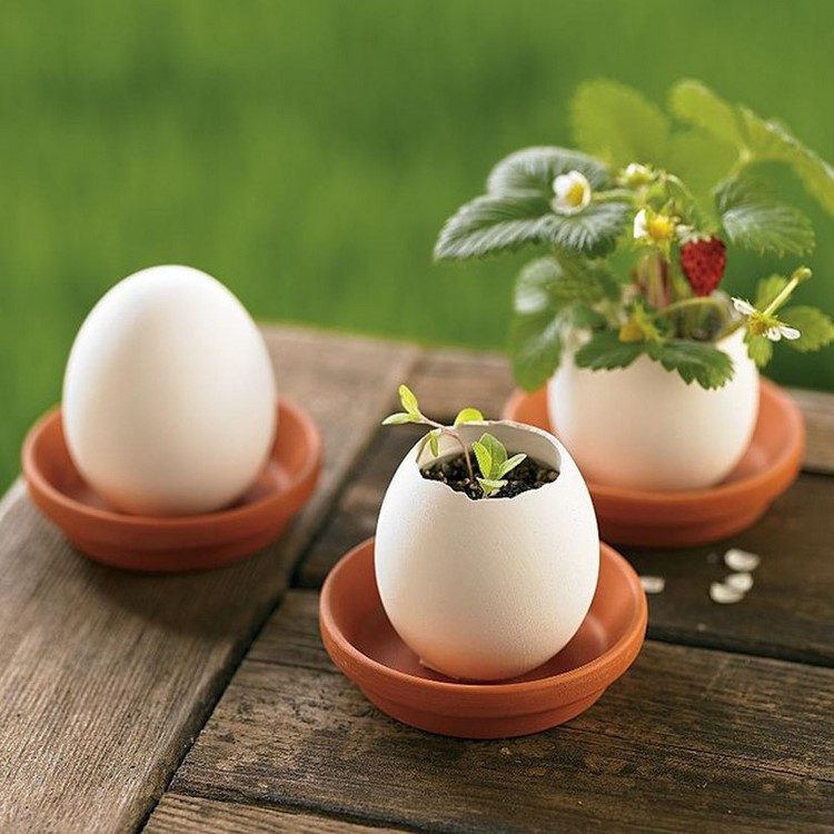 spring decor ideas DIY eggshell planters and vases