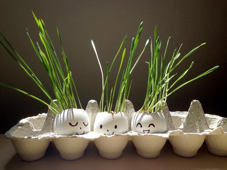 easter decorating ideas eggshell planters in carton