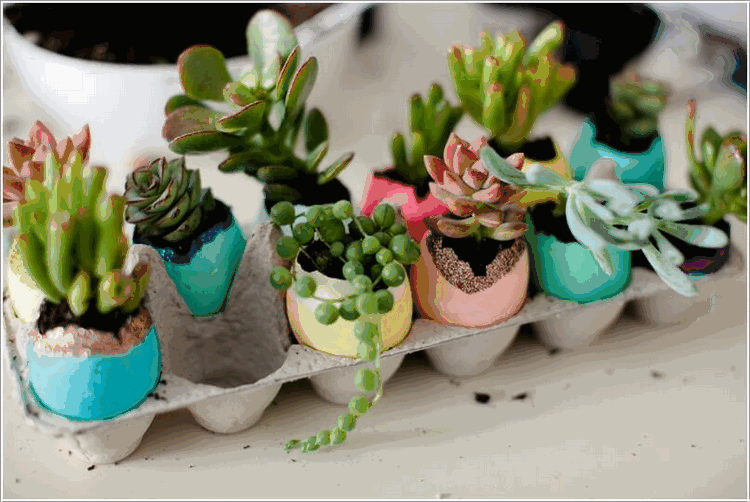 mini eggshell planters succulent garden spring decoration ideas
