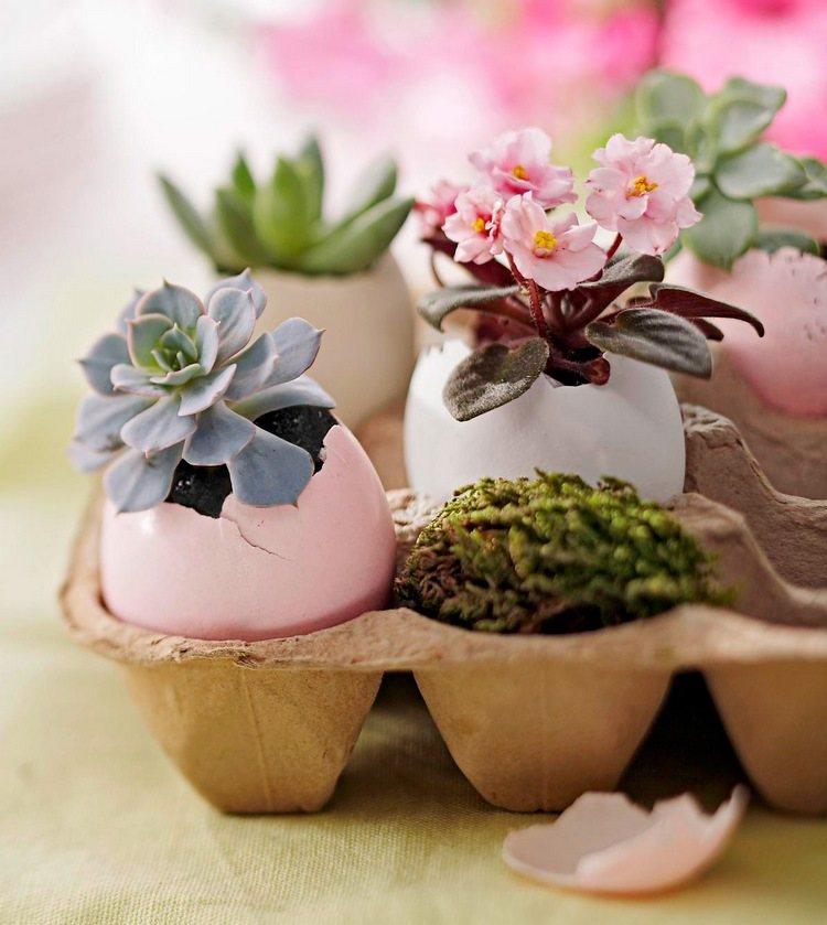 mini planters and vases from eggshells spring decor ideas
