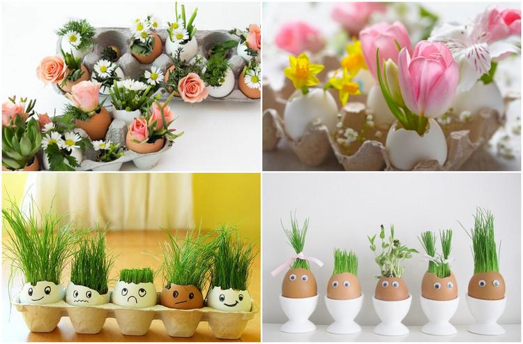 what can you plant in eggshells spring decor ideas