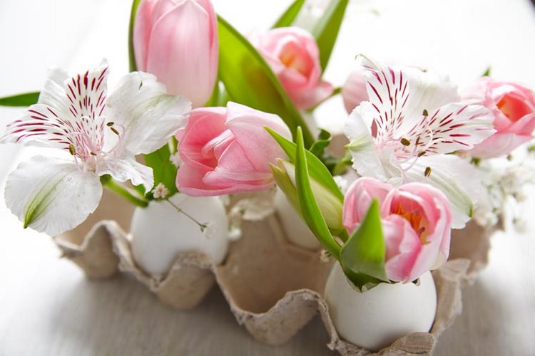 DIY Easter decoration ideas eggshells flowers in egg carton